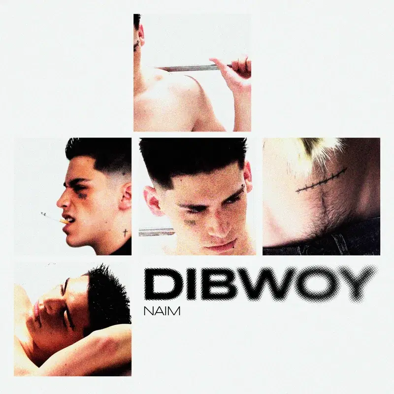 DIBWOY
