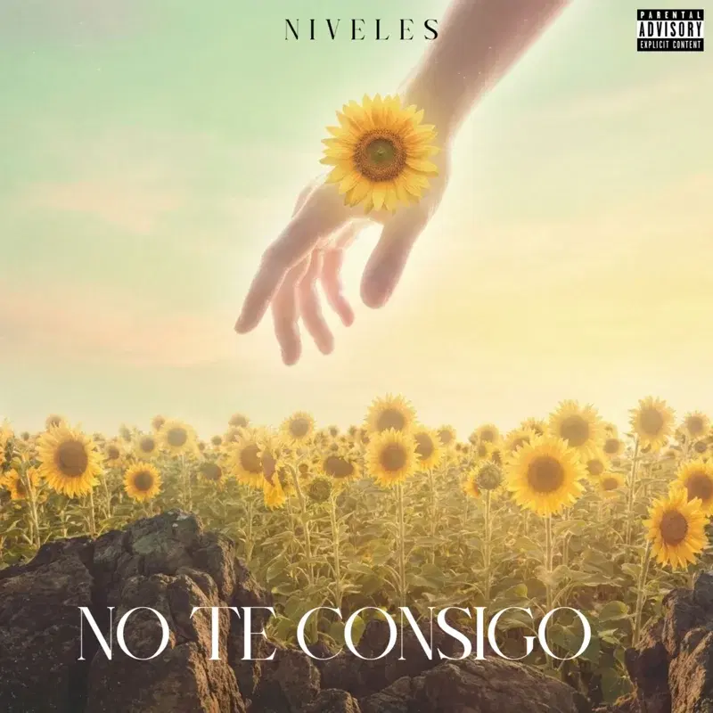 NO TE CONSIGO