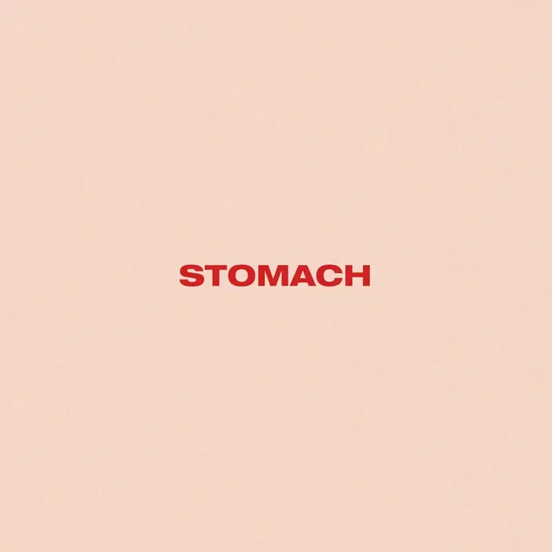 Stomach