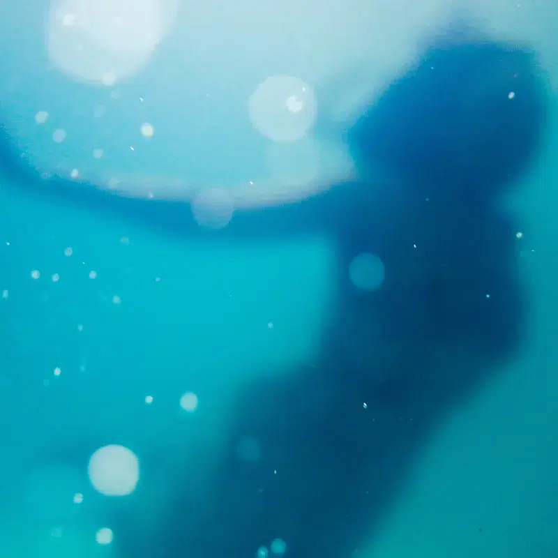 Sirens