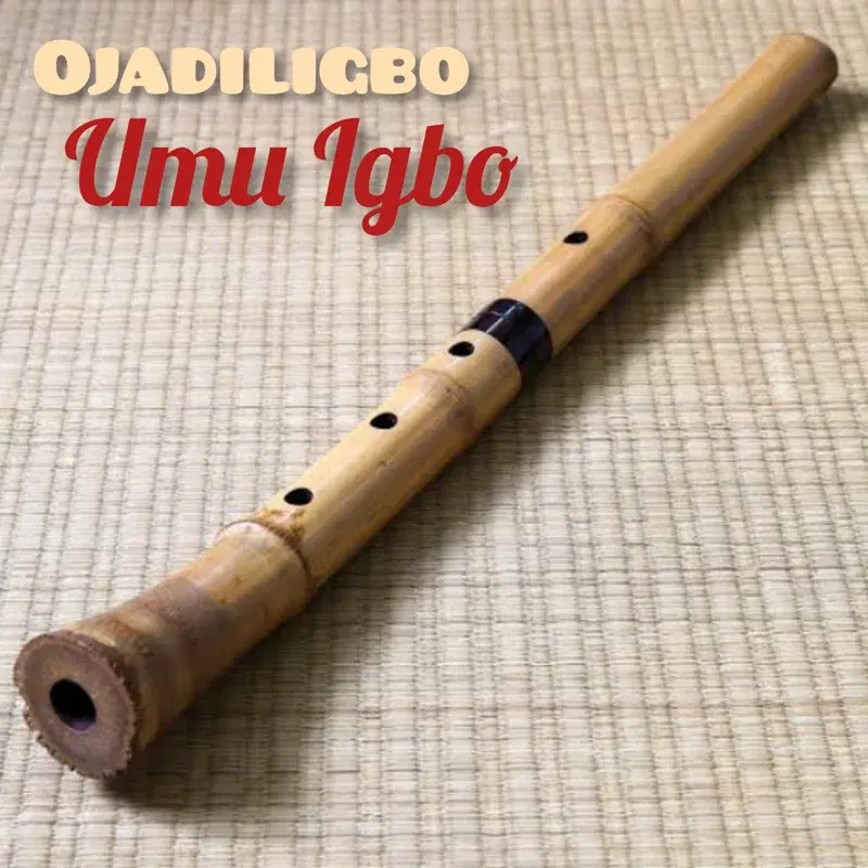 Ojadiligbo