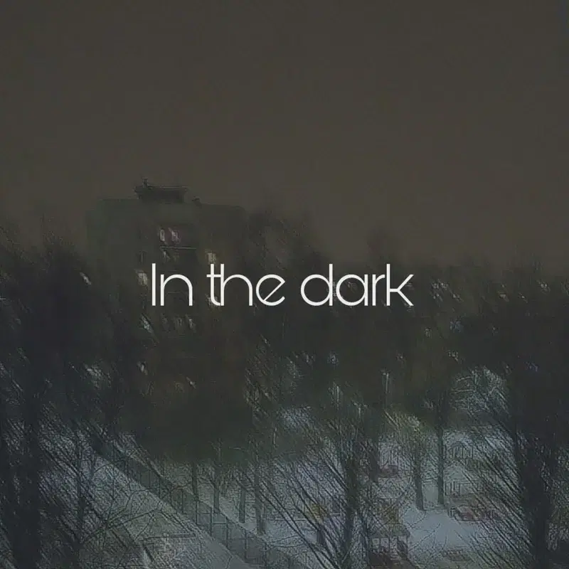 In the Dark
