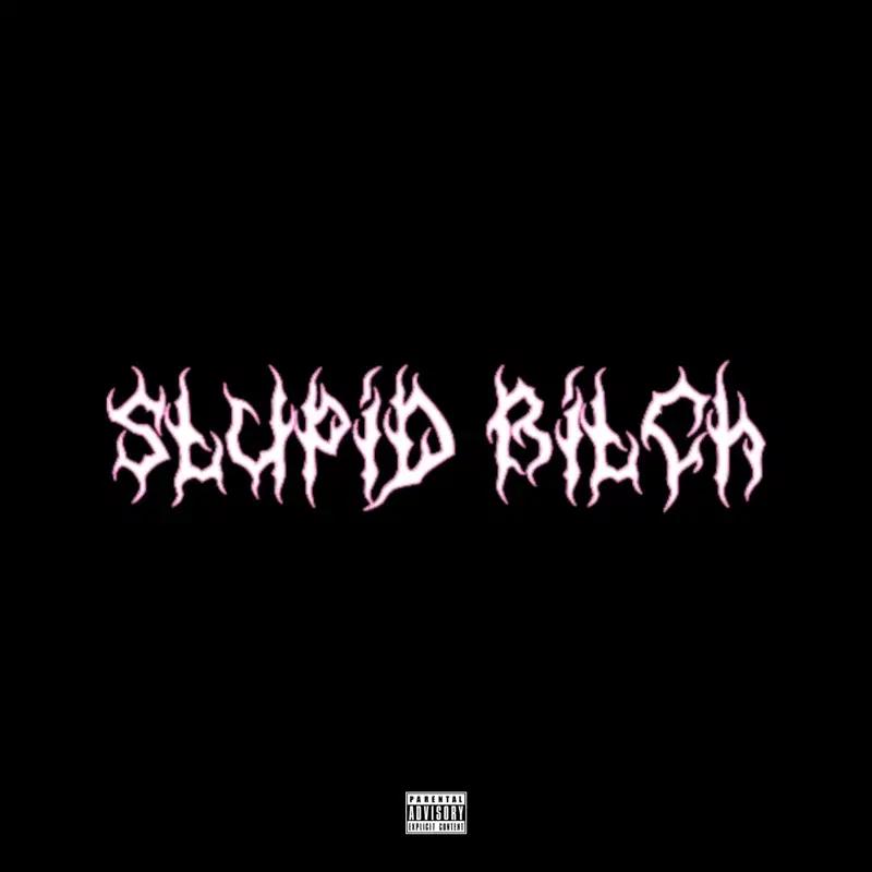 Stupid Bitch
