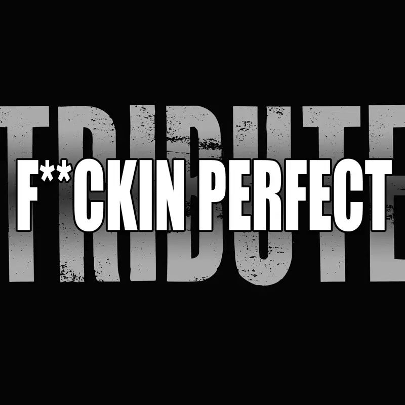 F**kin' Perfect (Pink Tribute)