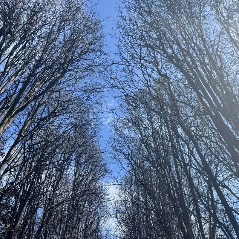 The Climb of the Century