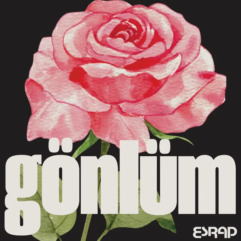 Gönlüm