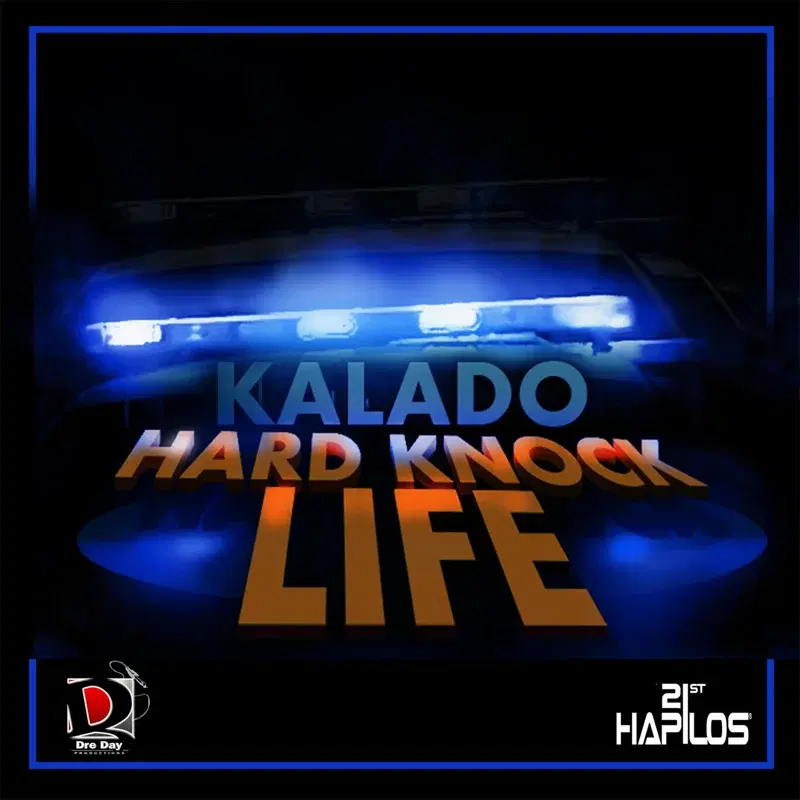 Hard Knock Life