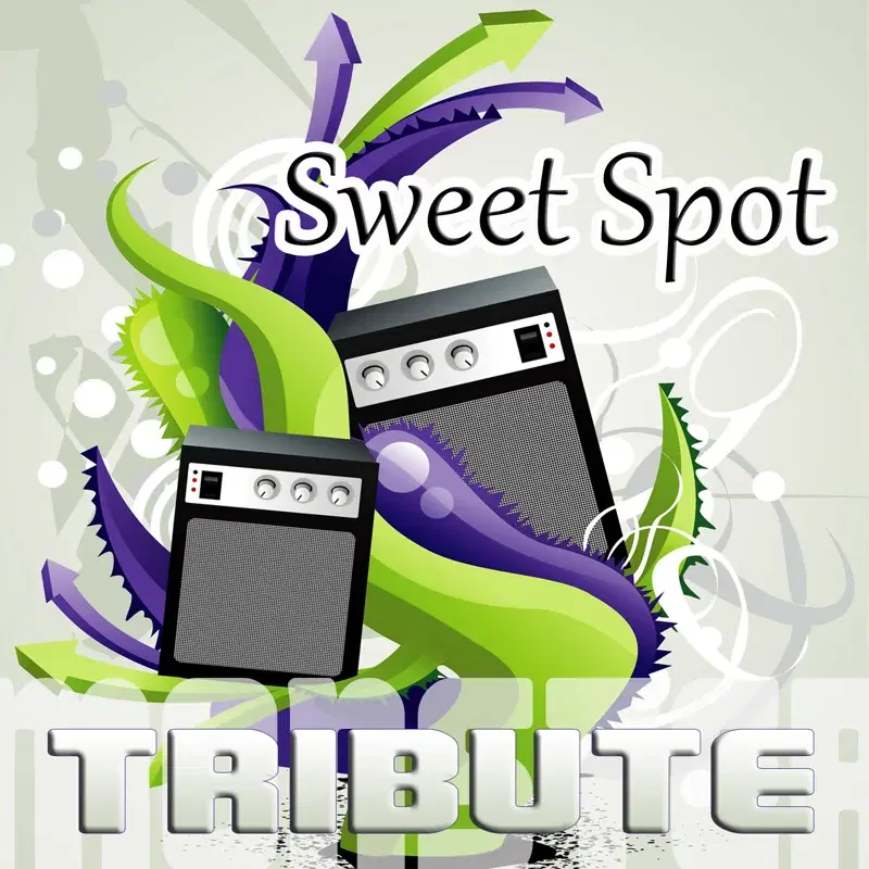 Sweet Spot (Instrumental Tribute to Flo Rida feat. Jennifer Lopez)
