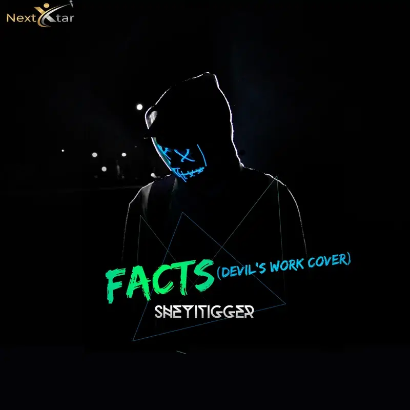 Facts (Devil's Work Cover)
