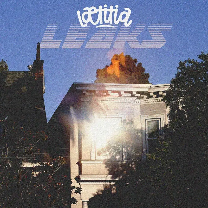 Leaks