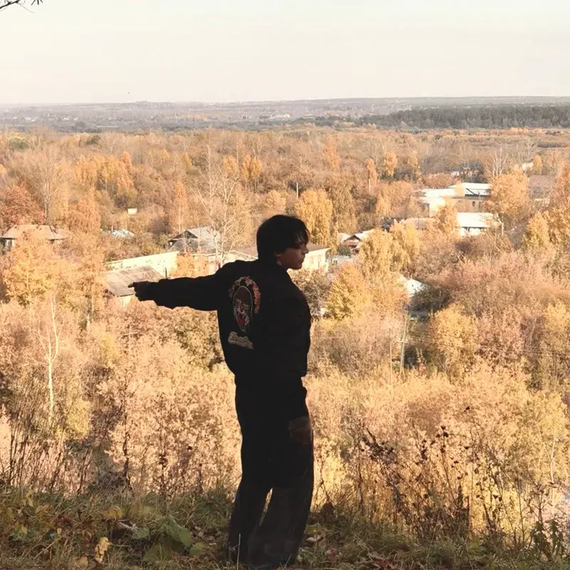 Аркадиа бэй