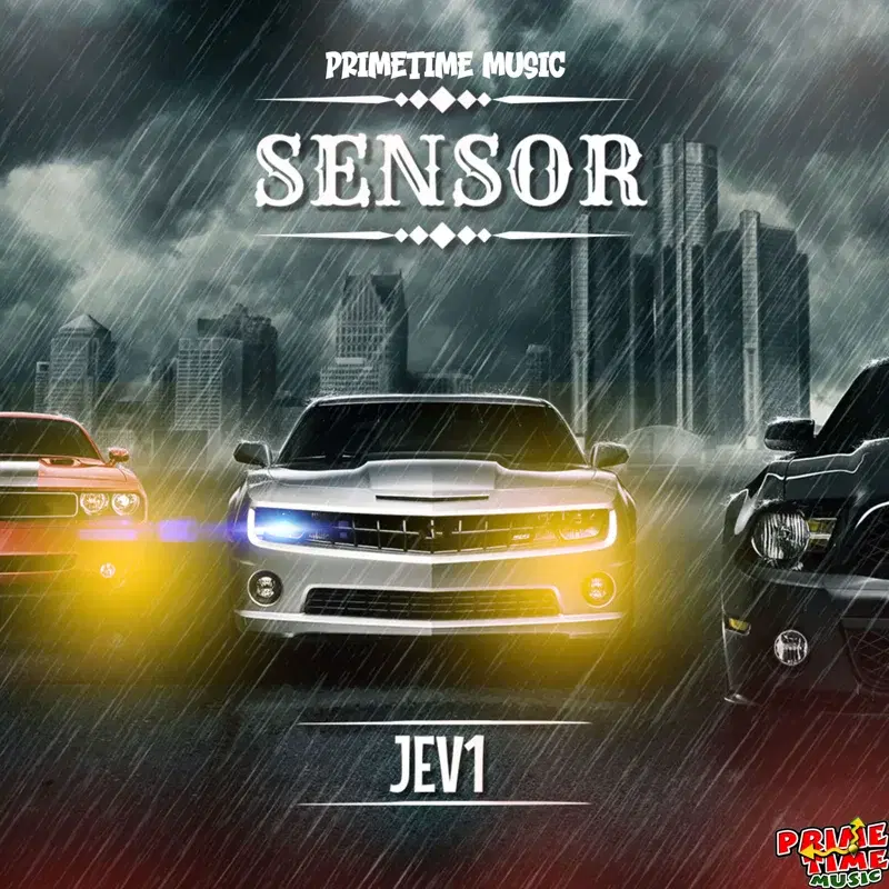 Sensor