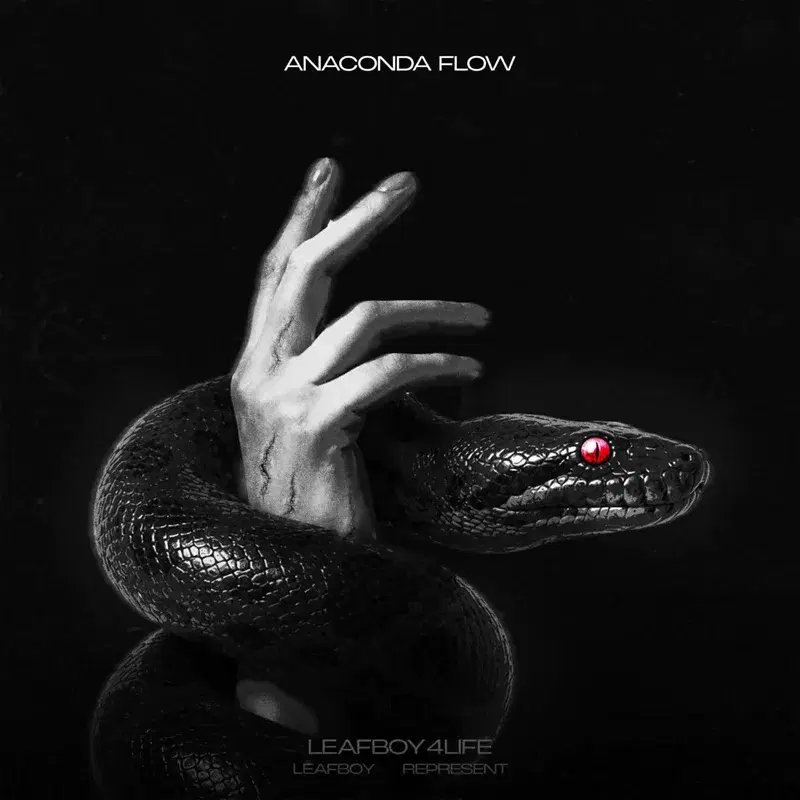 Anaconda Flow