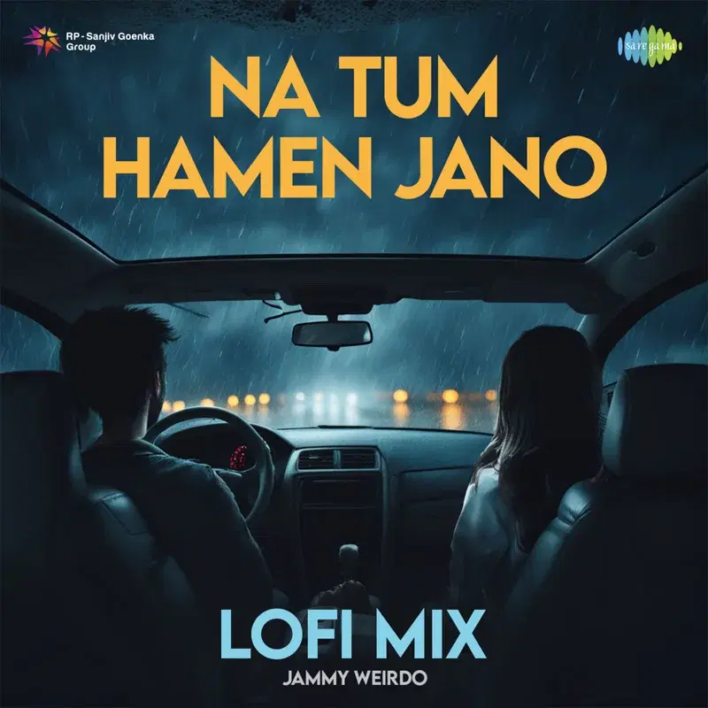 Na Tum Hamen Jano (Lofi Mix)