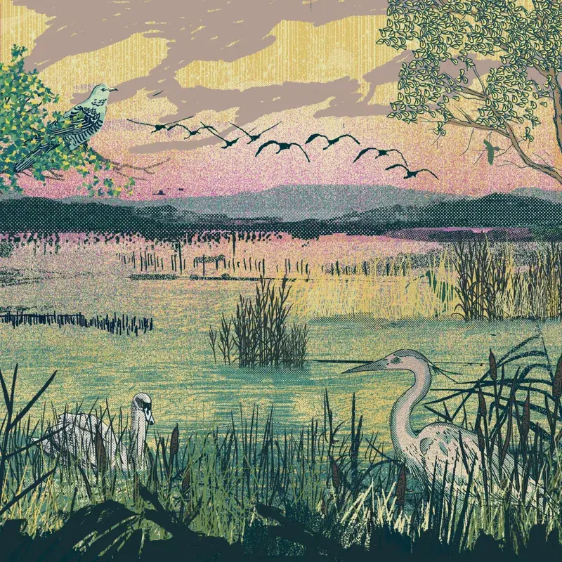 Dusk At The Heronry