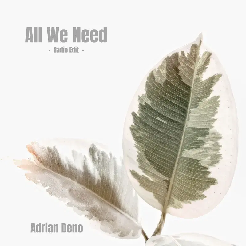 All We Need