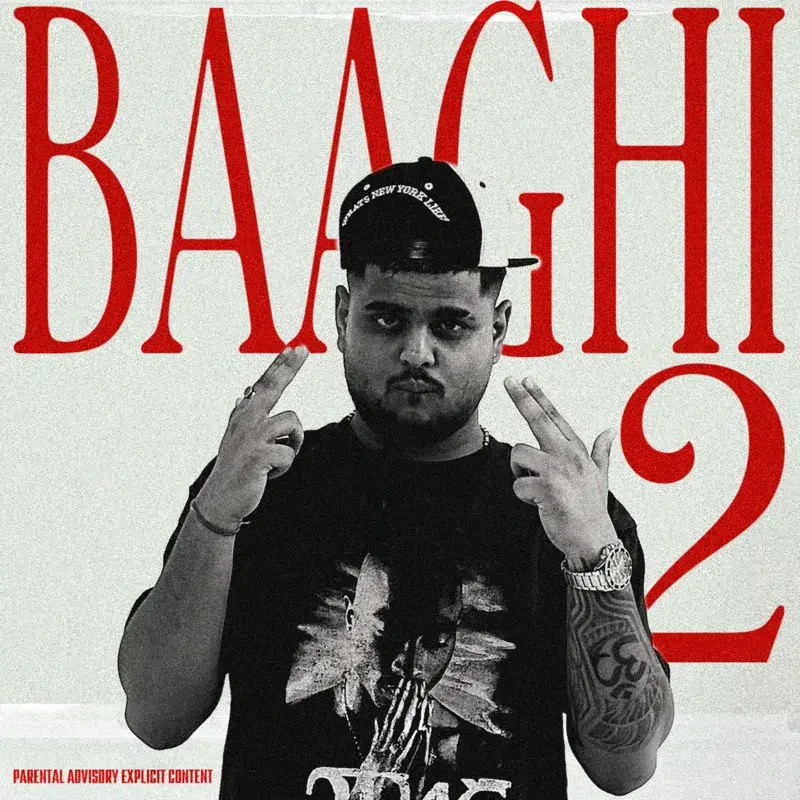 Baaghi 2
