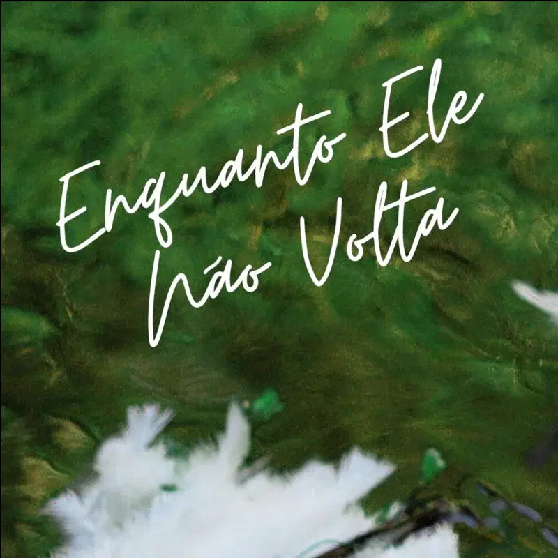 Enquanto Ele Não Volta