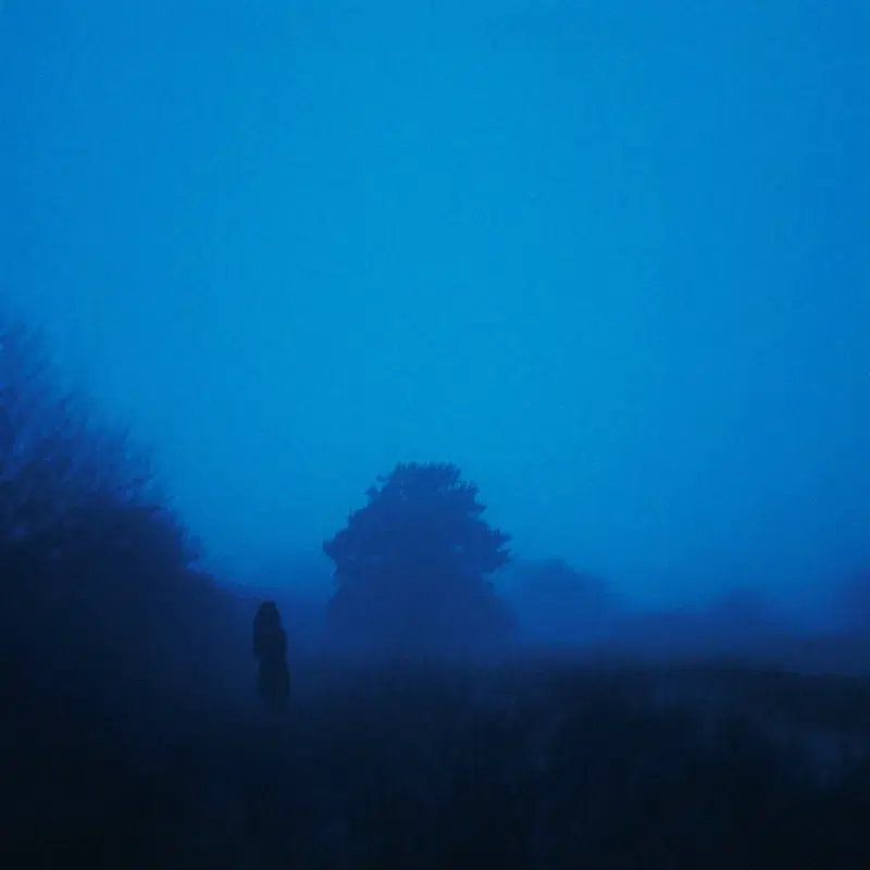 dissolve