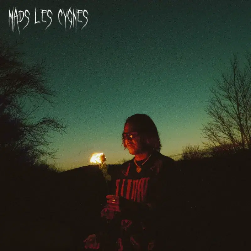 les cygnes (Indie Pop Fr 3)