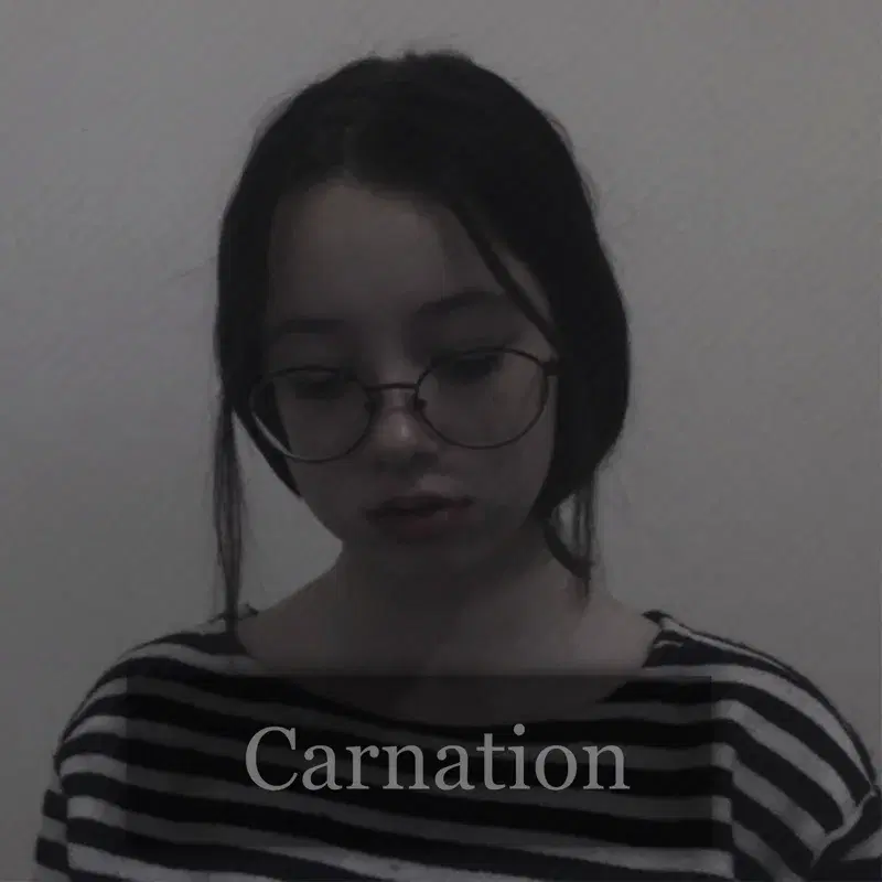 Carnation