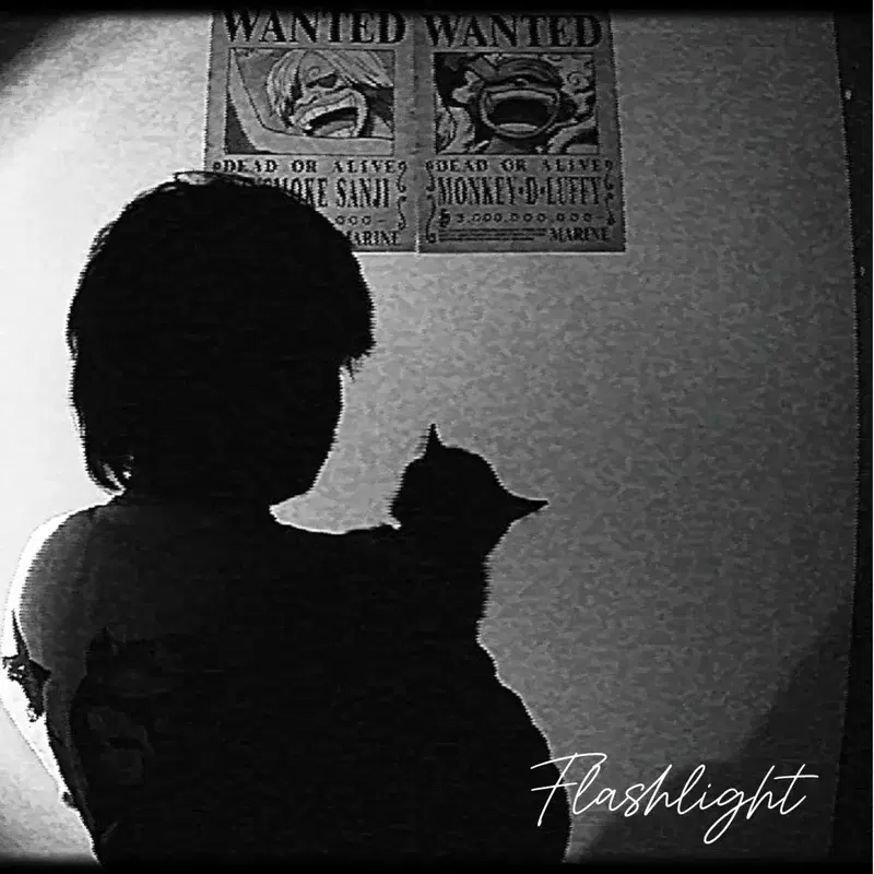 Flashlight