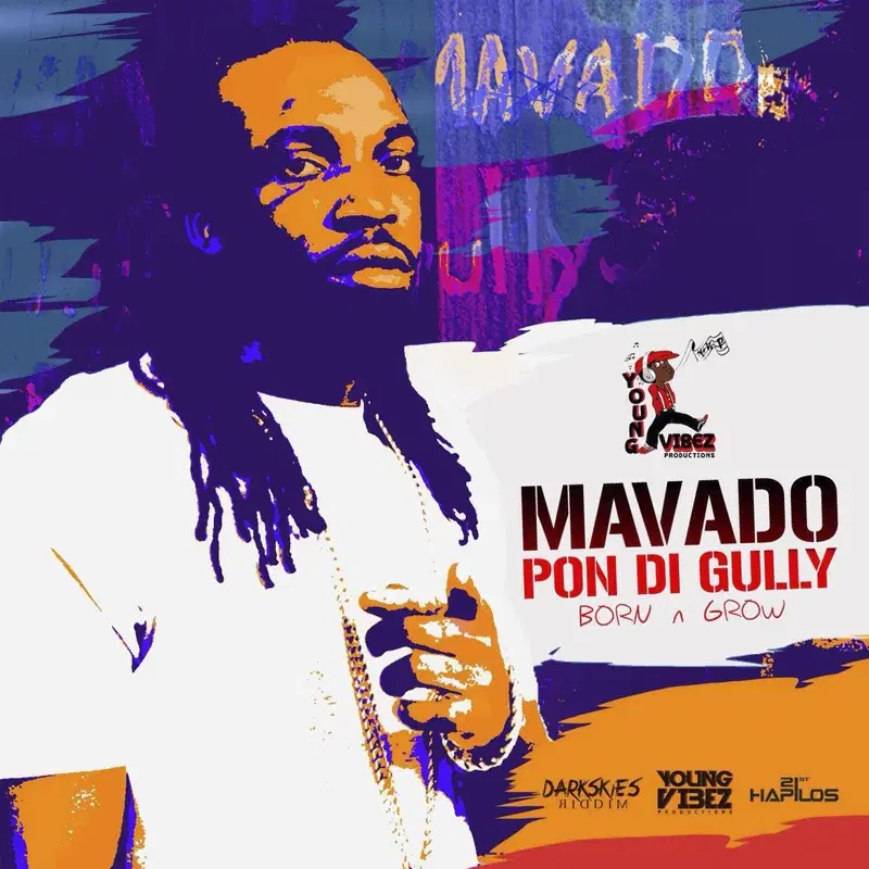 Pon Di Gully (Born & Grow)