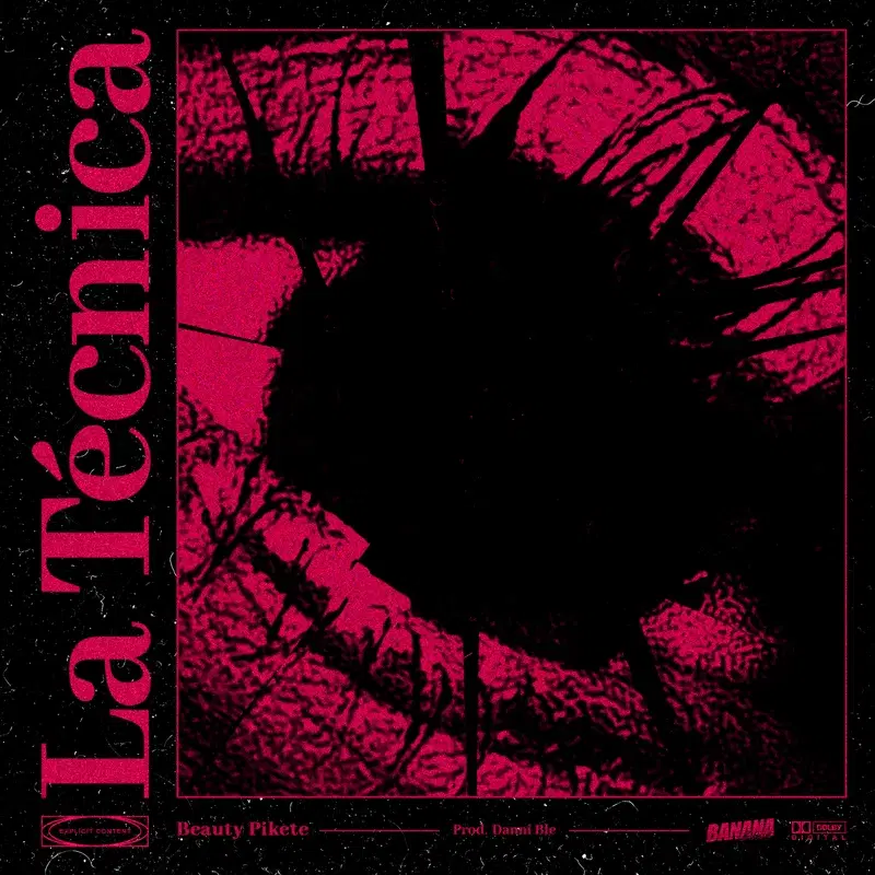 La Técnica