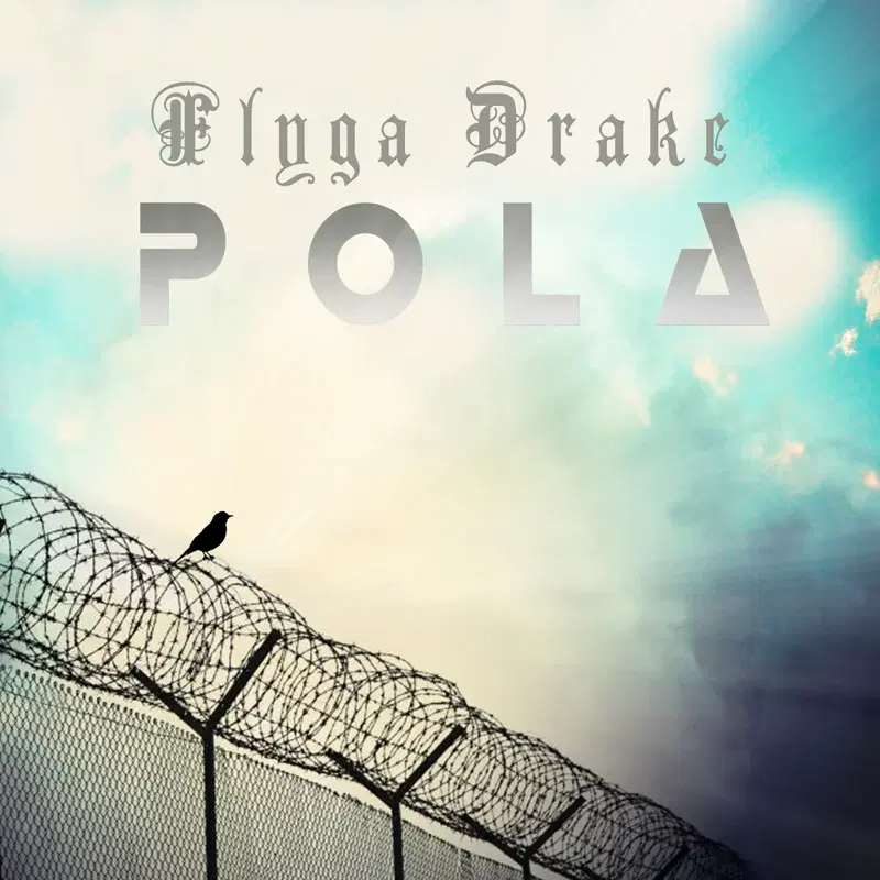 Flyga drake