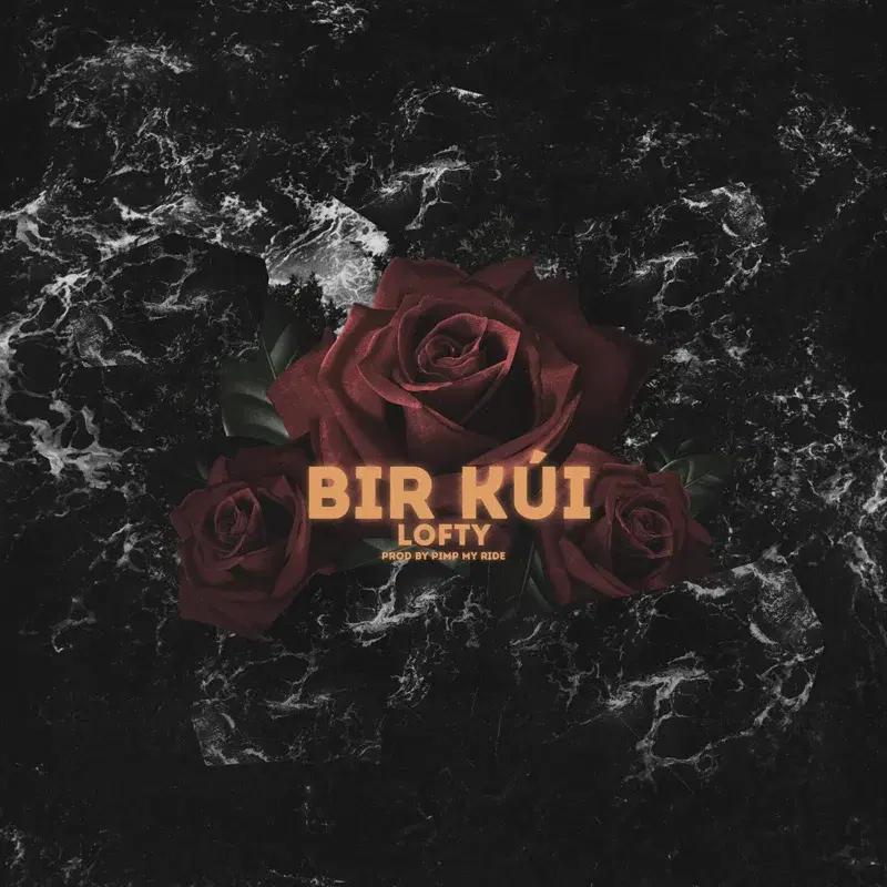 Bir kúı