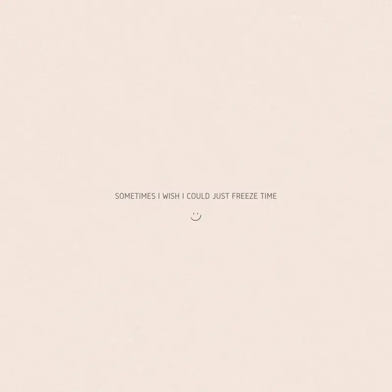 Sometimes I Wish I Could Just Freeze Time