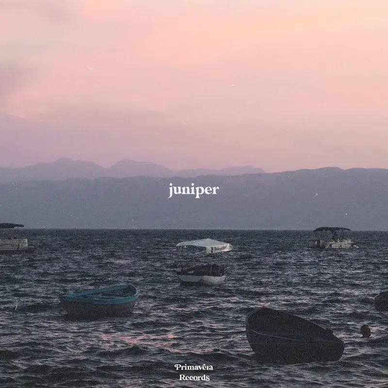 juniper