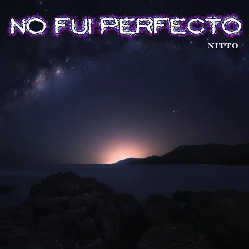 No Fui Perfecto