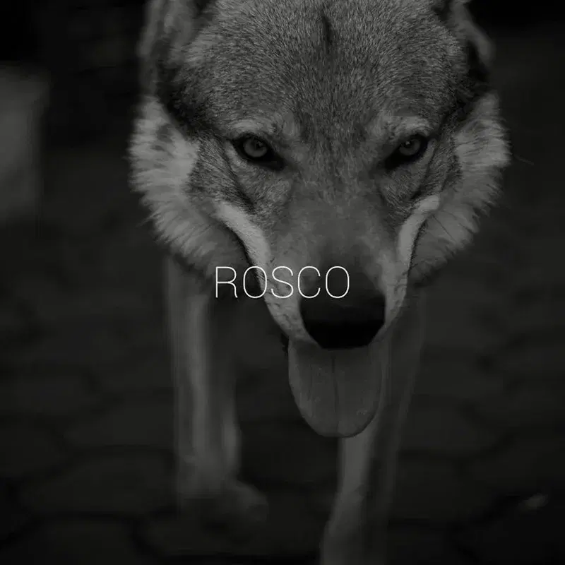 Rosco