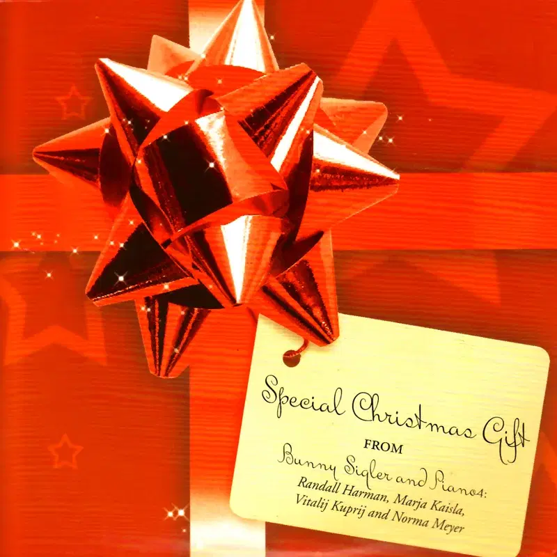 Special Christmas Gift