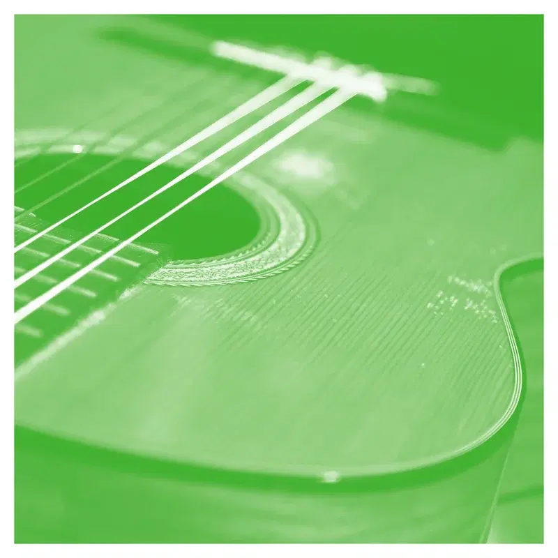 Solo Acoustic, Vol. 13
