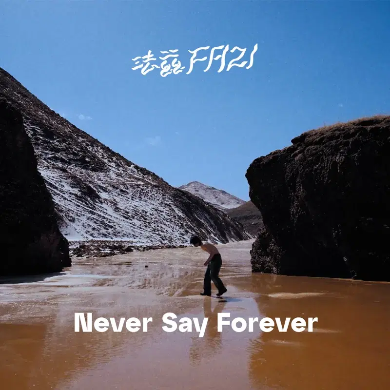 Never Say Forever