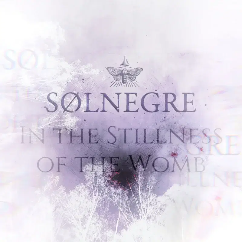 In the Stillness of the Womb