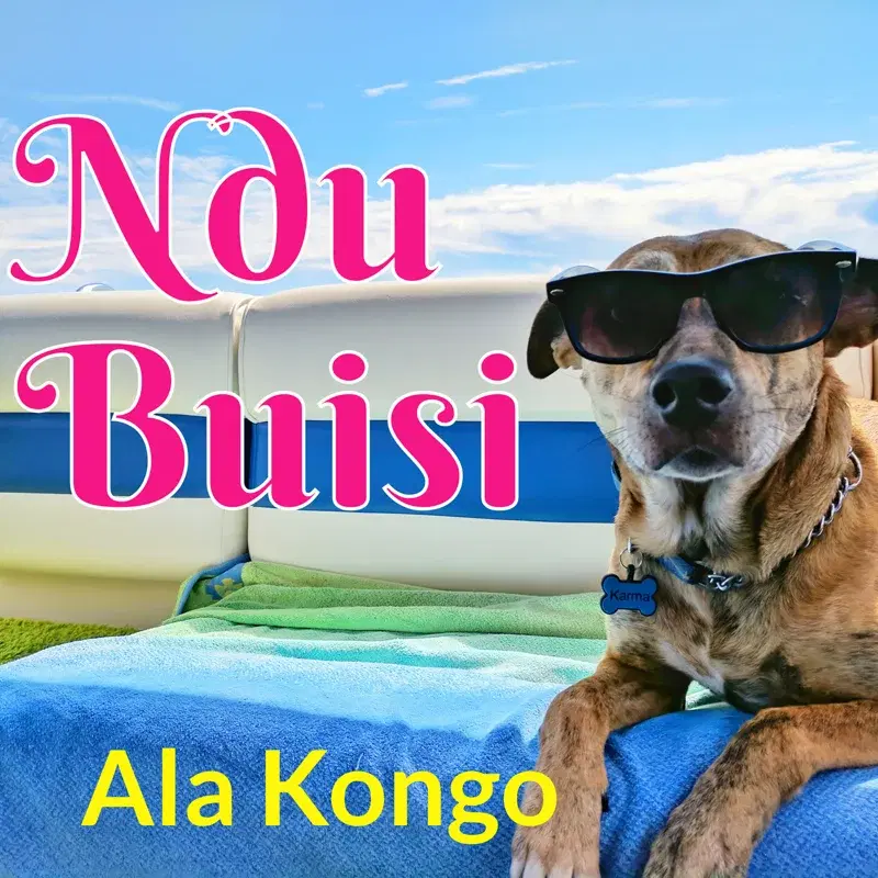 Ndu Buisi