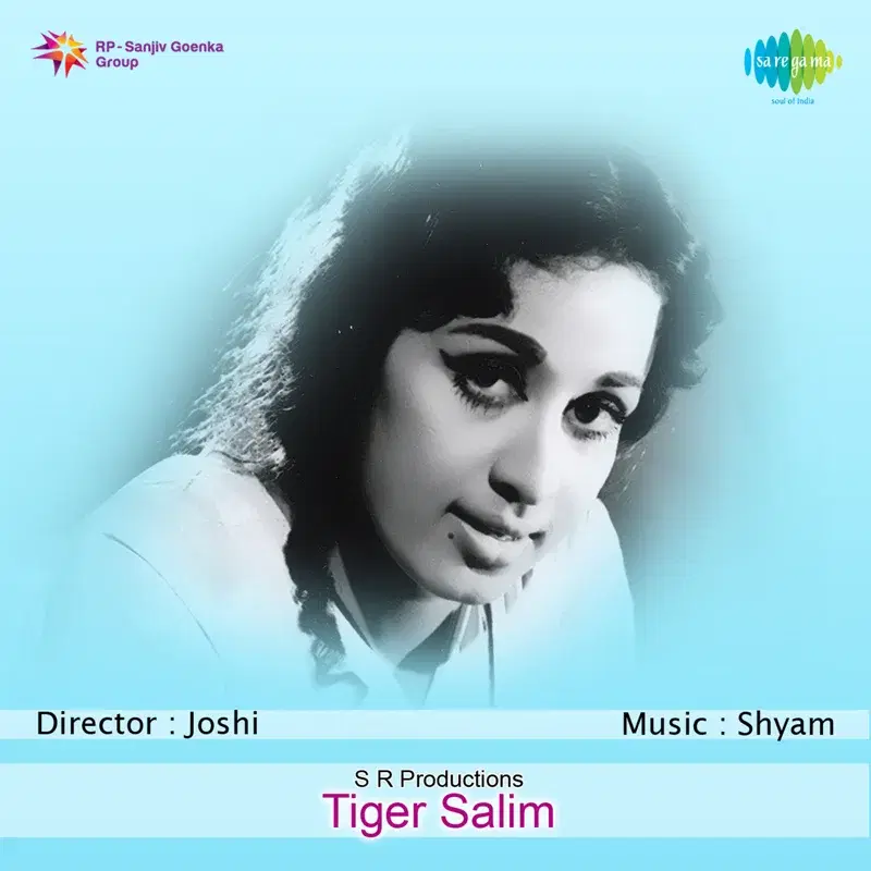 Tiger Salim (Original Motion Picture Soundtrack)