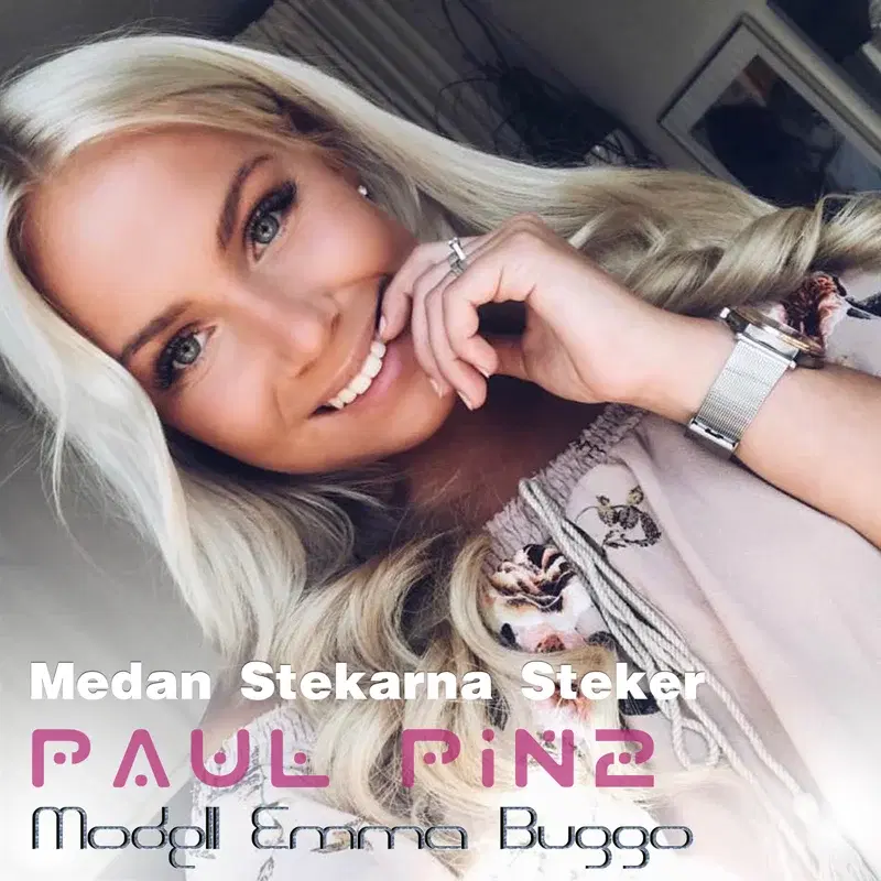 Medan Stekarna Steker
