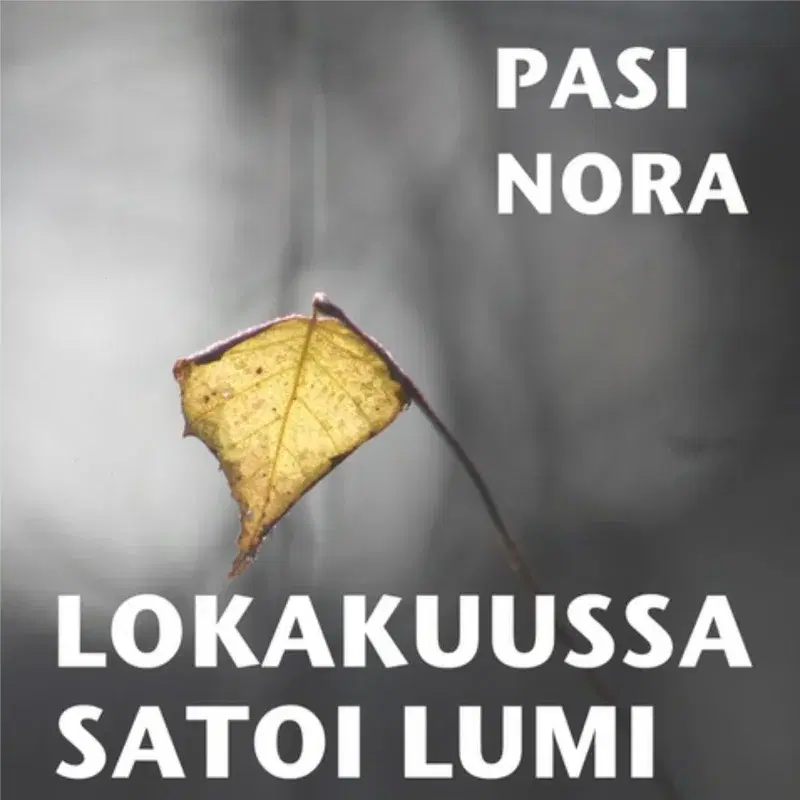Lokakuussa satoi lumi
