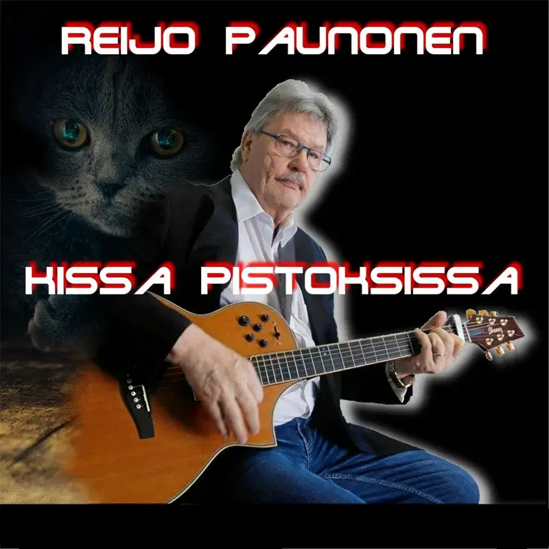 Kissa pistoksissa