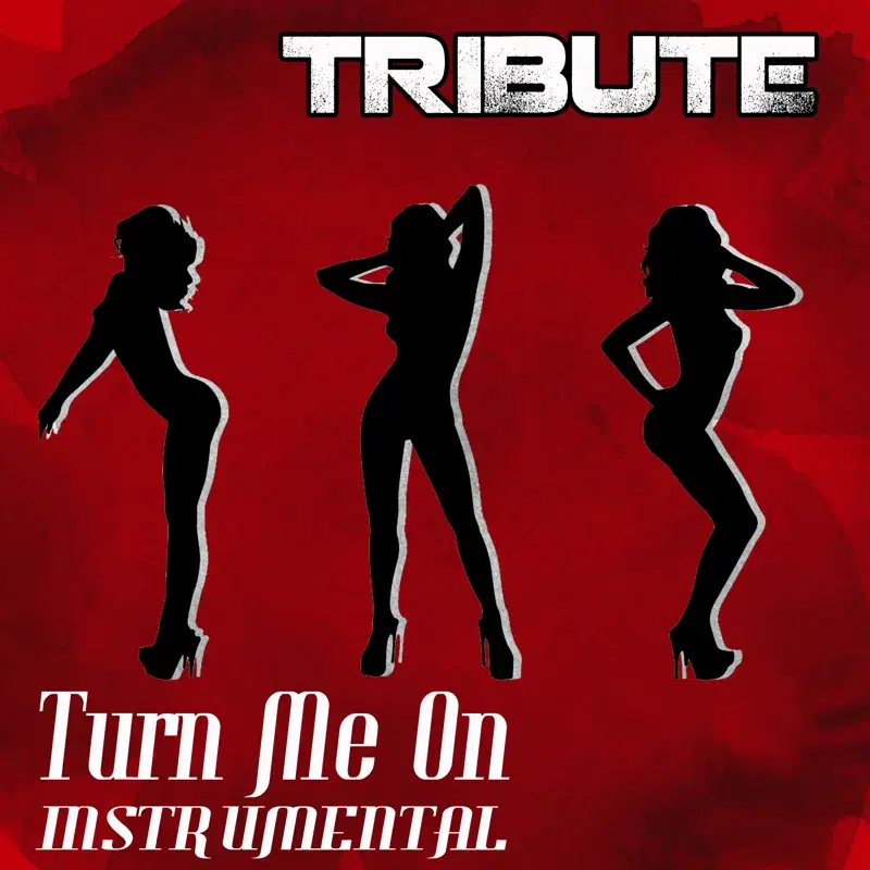 Turn Me On (David Guetta feat. Nicki Minaj Tribute) - Single Instrumental
