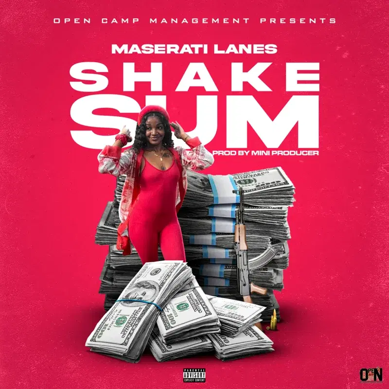 Shake Sum