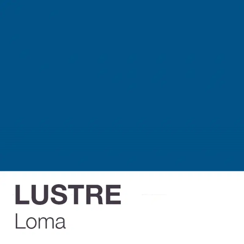 Loma