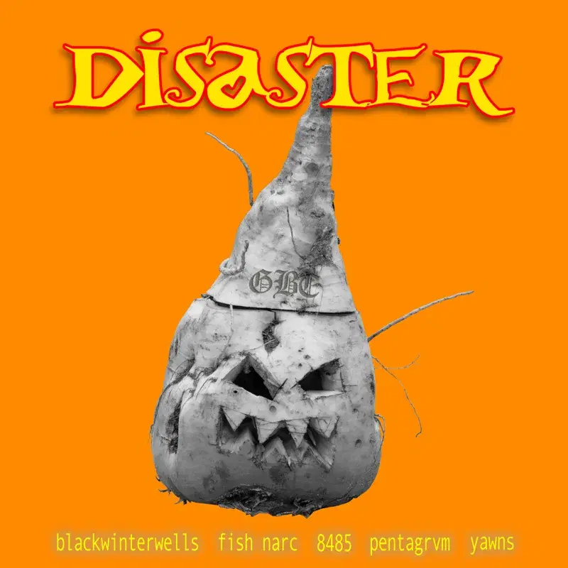 Disaster