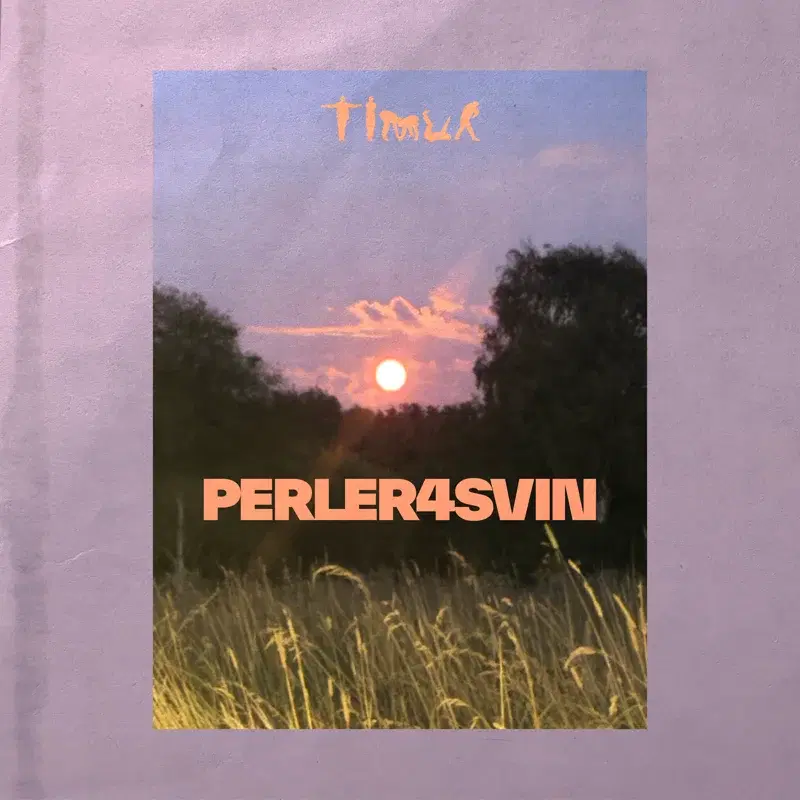 Perler 4 Svin
