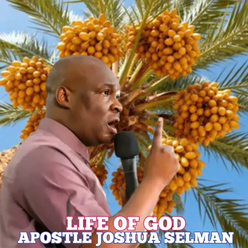 Life Of God