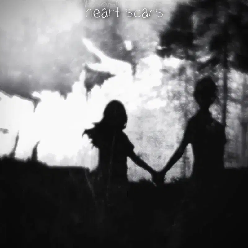 heart scars